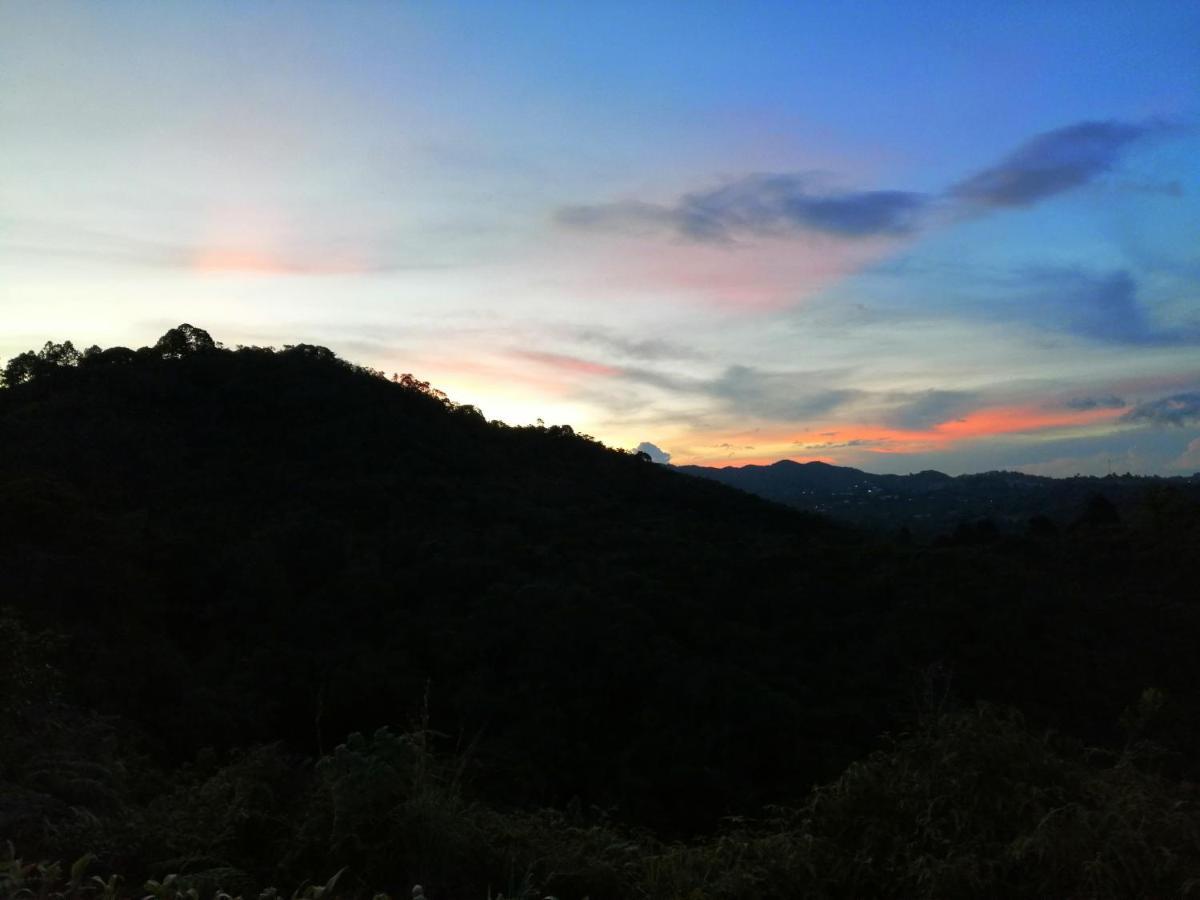Luxury tent Glamping La Montana Sagrada